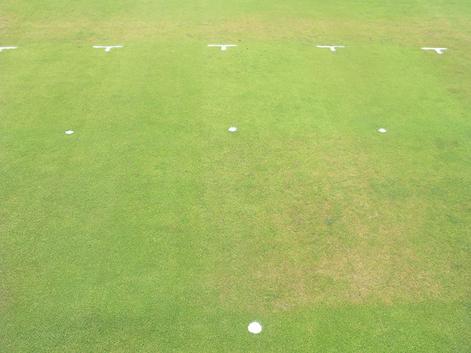 FIG2-Aynardi_control_Anthracnose