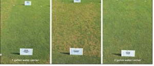 Figure 1: Impact of water carrier volume on the efficacy of Secure — Penn State, University Park 2012. Photo courtesy Mike Agnew, Ph.D.