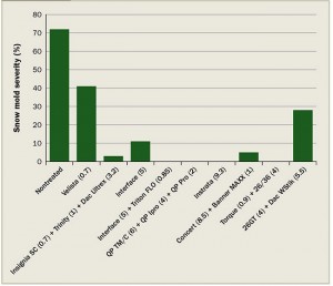 Figure 4: Comparison of a select number of treatments for speckled snow mold management at Sentryworld GC in Stevens Point, WI in the winter of 2010-2011. Fungicide rate in fluid ounces per 1,000 ft2 is in parentheses. For the full trial results visit www.tdl.wisc.edu/Research.php Photo courtesy Paul Koch, Ph.D.