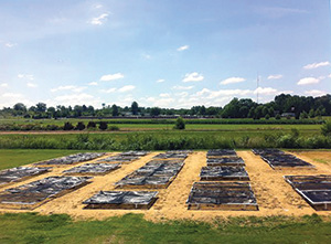 Shade tents on the research green at the Foil Plant Science Research Center in Starkville, Miss. Photo: Benton Hodges