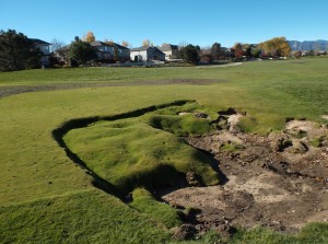 The 10th green at Coal Creek was damaged from the flooding. 