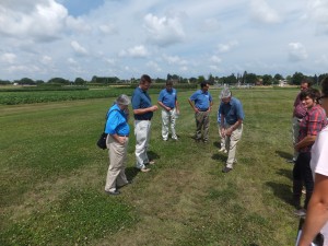 Scientists look at prairie junegrass evaluation plots on the campus at the University of Minnesota.