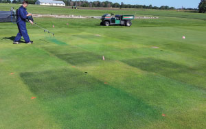 Plant colorants are applied to a creeping bentgrass fairway plot in Mead, Neb. The plot is then covered with shade cloth to reduce sunlight intensity by 70 percent. 