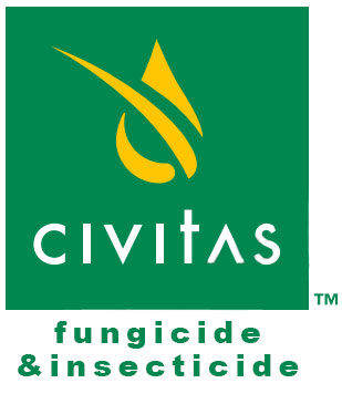 Logo: Civitas