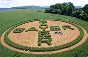 Bayer_aerial