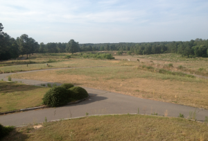 A view of what was the golf course.