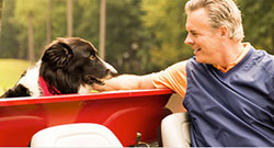 bayer_dog