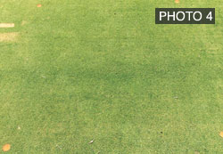 ss0115_photo4