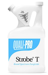 quali-pro-strobeT