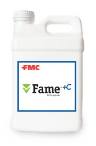 Fame+C_2.5_Gallon_a-500