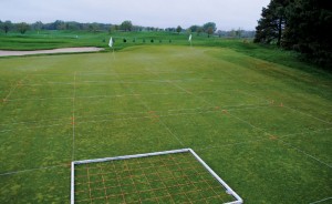 Researchers often used transects to accurately measure cover of annual bluegrass in this study. 