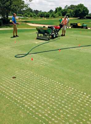 Mississippi State golf course practice putting green following June 2014 DryJect treatments.