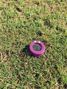 A conical tube, or “hide,” used in field trials to assess canine ability to detect annual bluegrass weevils (ABW). Each tube contained a scent treatment (ABW, a non-target insect control [Japanese beetle], or a blank [P. annua alone]).