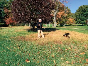 Carl investigates a potential ABW overwintering site at Sinking Valley Country Club in Altoona, Penn. Using canines to identify ABW overwintering sites may lead to greater precision management in spring.