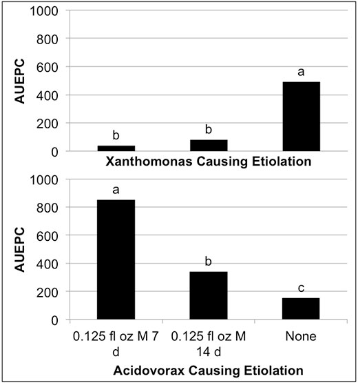 Figure 3: Impact of Primo Maxx applications on bacterial etiolation caused by Xanthomonas translucens (left) or Acidovorax avenae (right). Primo Maxx applications were applied at the designated rate (per 1,000 sq. ft.) and frequency. Area under progress curves values are shown for etiolation in Fall 2011 (Xanthomonas) and Summer 2013 (Acidovorax). Letter designations represent significant differences at the 0.05 probability level. 