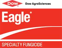 Eagle_USA_01_4C-dow