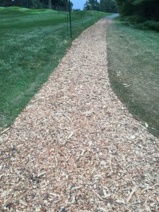 IMG_1342_chips