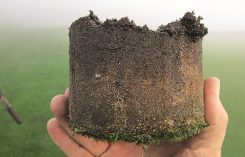 Photos: Jesse Hartman 