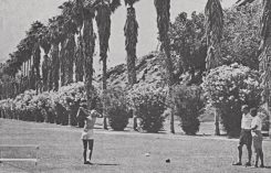 Photos: Golfdom