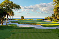 Photo courtesy of The Sea Pines Resort / Rob Tipton