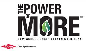 Power-of-MORE-logo
