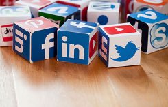 Photo: iStock.com/mattjeacock