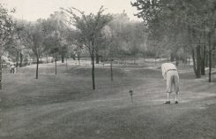 Photos: Golfdom