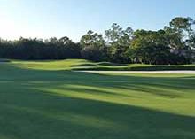 Photos: Quail West