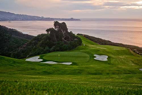 15th-hole-torrey-north_022