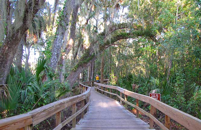 Blue Spring Boardwalk