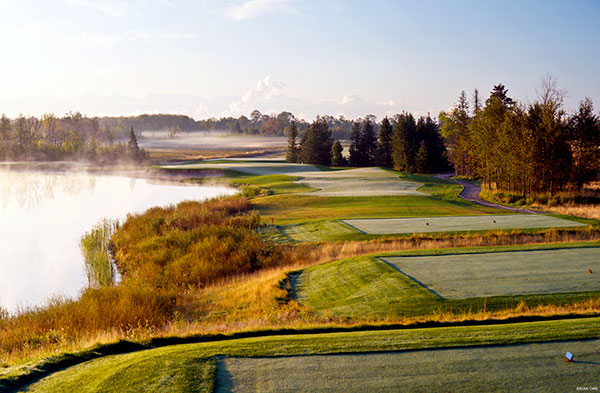 #12-Tee