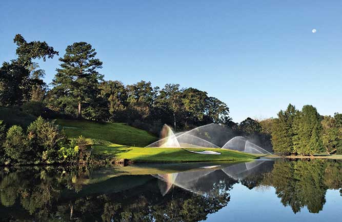 Only about 100 trees were removed for the Gold Course’s renovation, according to Rees Jones. “Somebody has to stop this absolutely insane trend of cutting down all the trees. It just doesn’t make sense everywhere,” he says