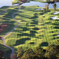 Tigers shop eye golf