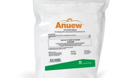 Photo provided by Anuew.