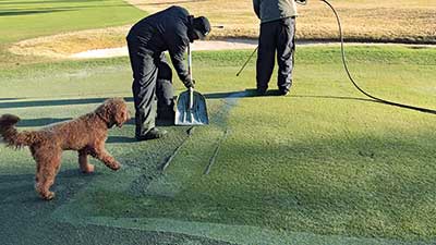 Scooping up algae