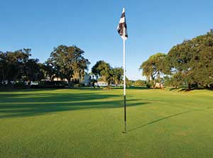 Hole at Bird Bay GC