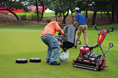 grass clippings shot