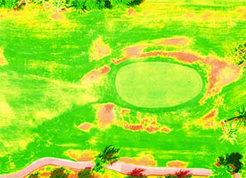 NDVI camera shot (Photo: Greensight Agronomics) 