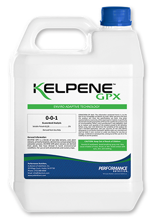 Kelpene GPX bottle | (Photo: Performance Nutrition)