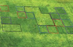 Turf response to foliar iron