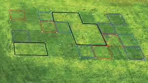 Turf response to foliar iron