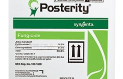 Syngenta Posterity. Photo provided by Syngenta.
