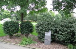Ornamental bed (Photo by: John C. Fech)