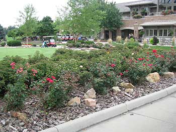 High priority maintenance bed (Photo by: John C. Fech) 