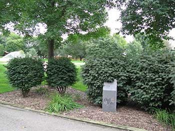 Ornamental bed (Photo by: John C. Fech)