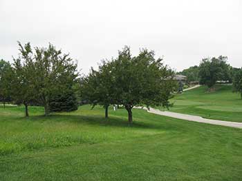 Well-placed small trees (Photo by: John C. Fech)