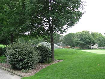 Separation of turf and ornamentals (Photo by: John C. Fech)