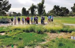 University of Arizona Cooperative Extension demonstration field day (Photo By: Worku Burayu)