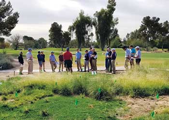 University of Arizona Cooperative Extension demonstration field day (Photo By: Worku Burayu)