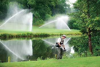 Battery-powered handheld edger (Photo: Greenworks Commercial)